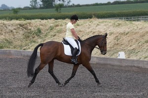 ISIS Dressage Challenge 2008